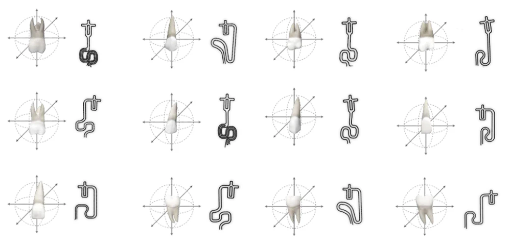 ブラーバのイメージ