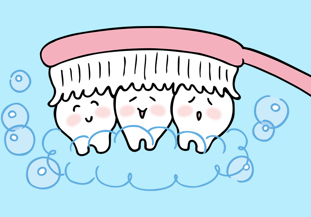 きれいな歯